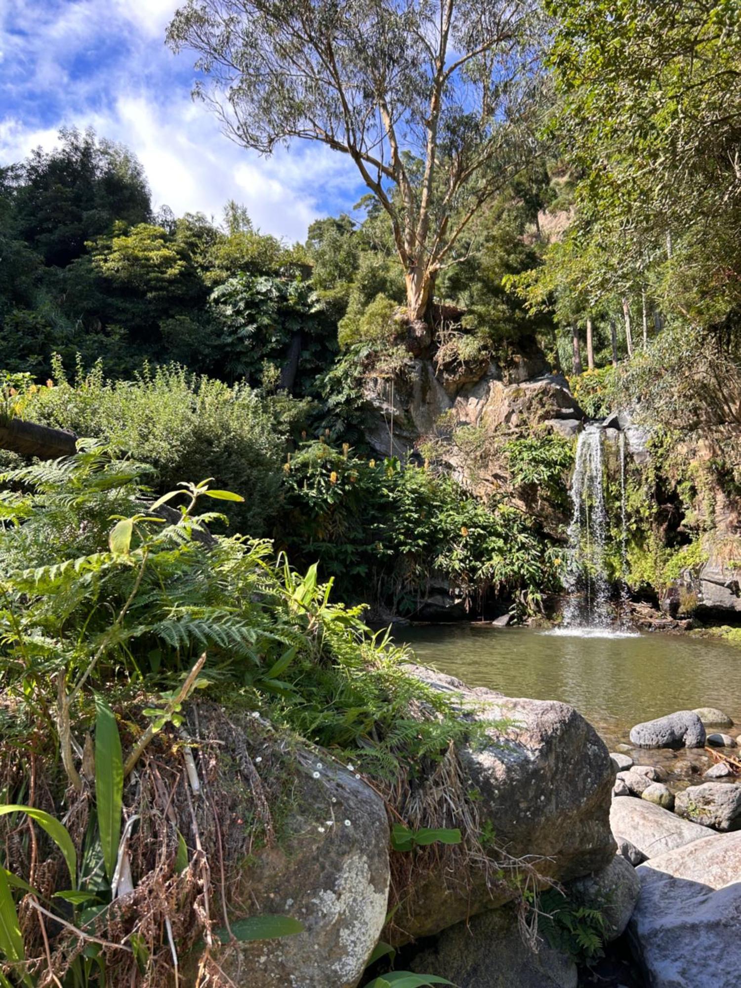 Eco Surflodge Azores Ribeira Grande Εξωτερικό φωτογραφία